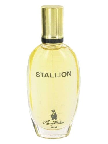 Stallion