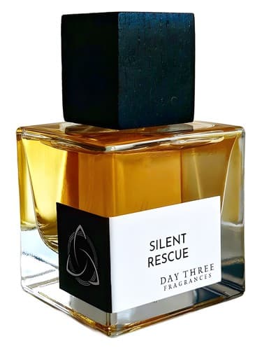 Silent Rescue - نجات خاموش