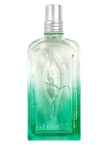 Verveine Fleur de Carotte