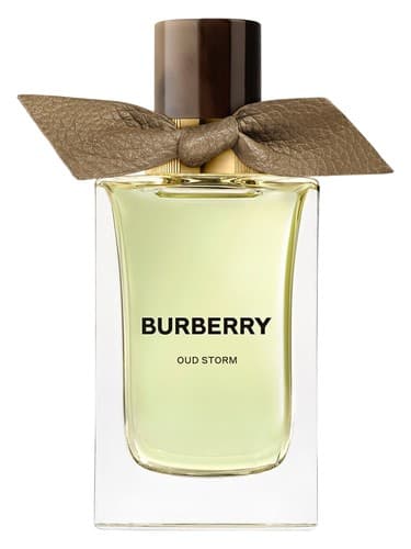 Oud Storm - طوفان عود