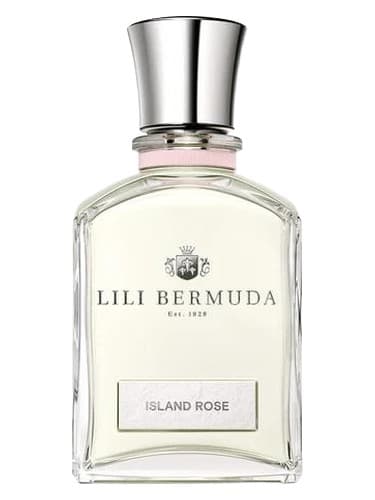 Island Rose - رز جزیره