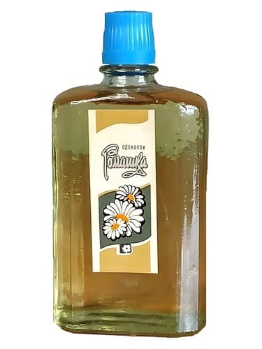 Chamomile - Ромашка - بابونه - Ромашка