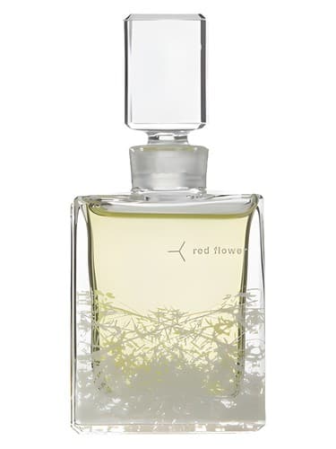 Ambrette - آمبرت
