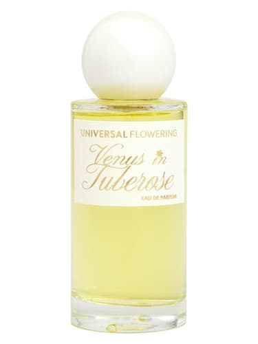 Venus in Tuberose