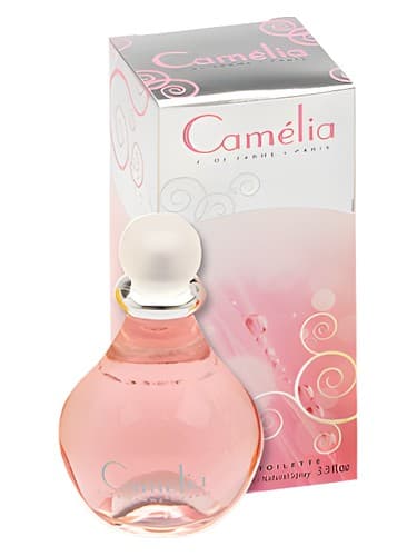 Camelia