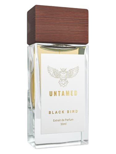 Black Bird - پرنده بلک