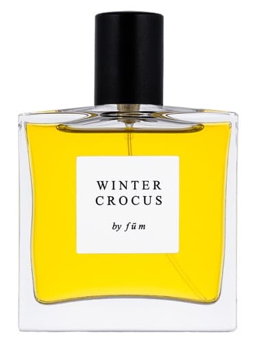 Winter crocus - کروکوس زمستانی