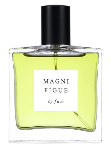 Magnifígue