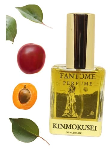 Kinmokusei - کینموکوزی