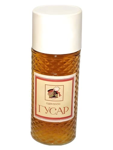 Гусар - Hussar - گوسار - هوسر
