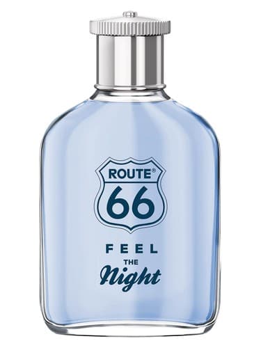 Feel The Night