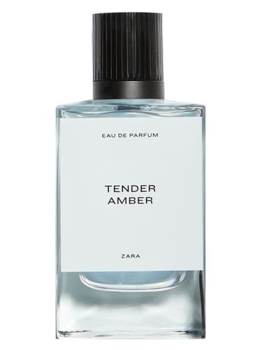 Tender Amber - امبر لطیف