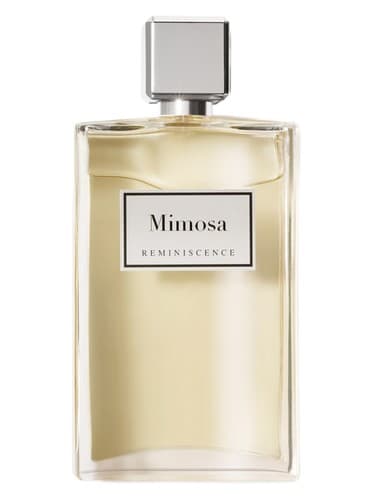 Mimosa - میموزا