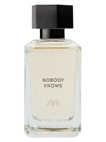 Nobody Knows (Into The Woods) - هیچ کس نمی داند (در جنگل)