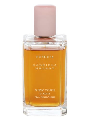 New York (Gabriela Hearst) - نیویورک (گابریلا هرست)