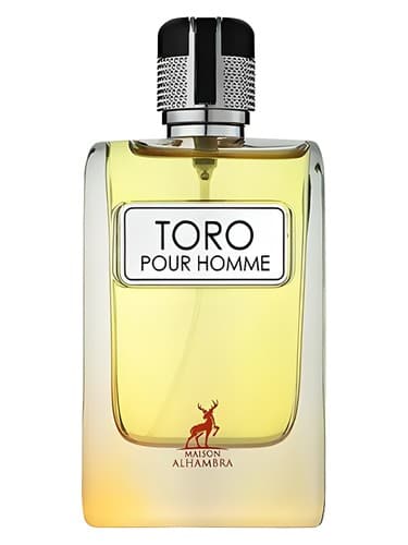 Toro Pour Homme - تورو پور هومه