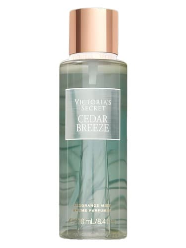 Cedar Breeze - سدر نسیم
