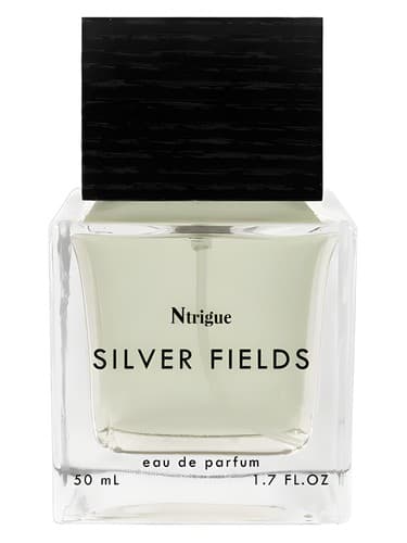 Silver Fields - زمین های سیلور