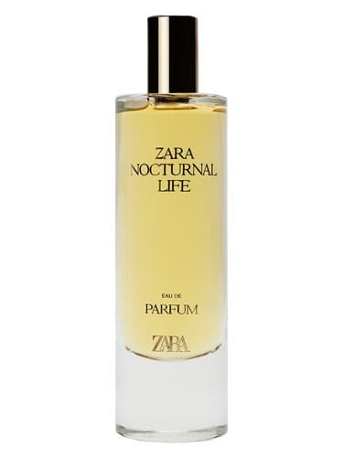 Nocturnal Life - زندگی شبانه