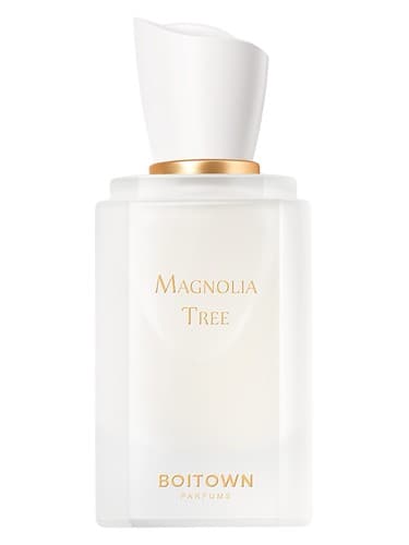 Magnolia Tree	一树玉兰 - درخت ماگنولیا 一树玉兰