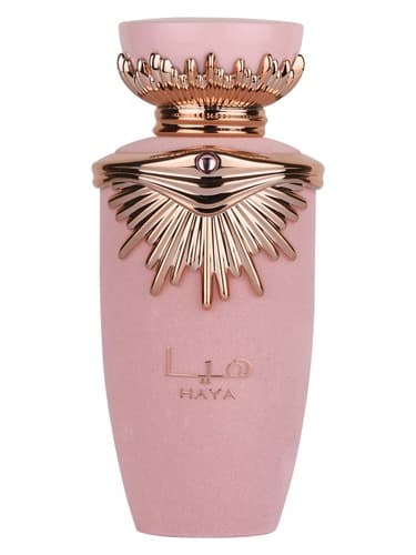 Haya - هایا