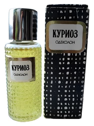 Куриоз - کوریوز