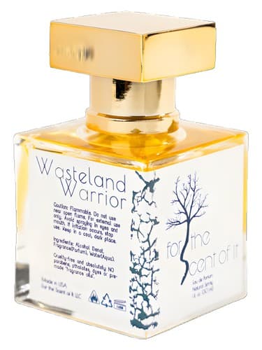 Wasteland Warrior - جنگجوی سرزمین بایر