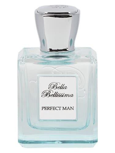 Perfect Man - من کامل
