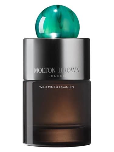 Wild Mint & Lavandin