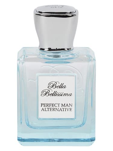 Perfect Man Alternative - جایگزین من کامل