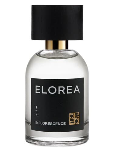 INFLORESCENCE (송아리)