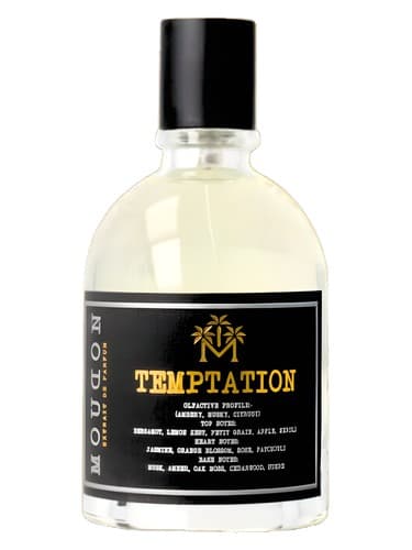 Temptation - وسوسه