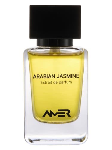 Arabian Jasmine - یاس عربی