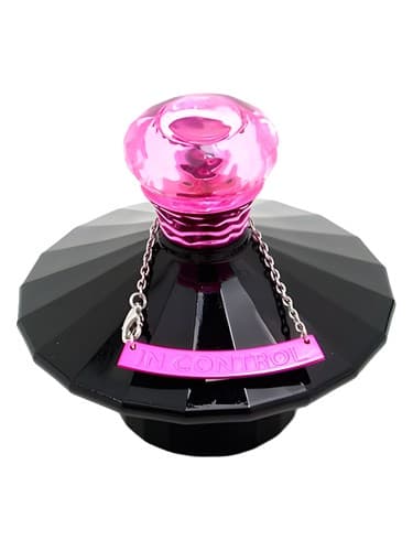 In Control Curious - در کنترل کنجکاو