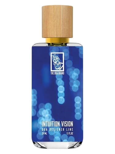 Intuition Vision