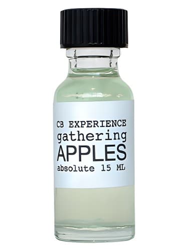 Gathering Apples - جمع آوری اپل
