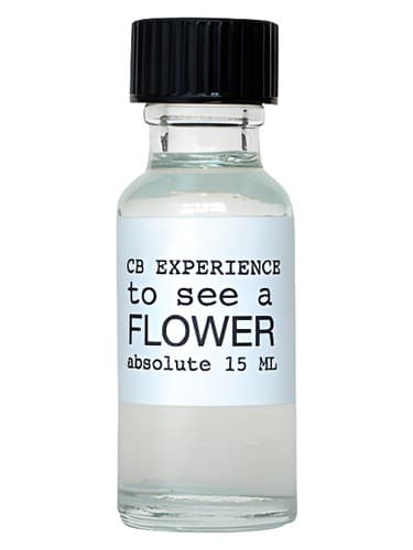To See A Flower - برای دیدن یک گل