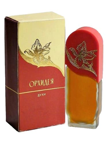 Орхидея - Orchid