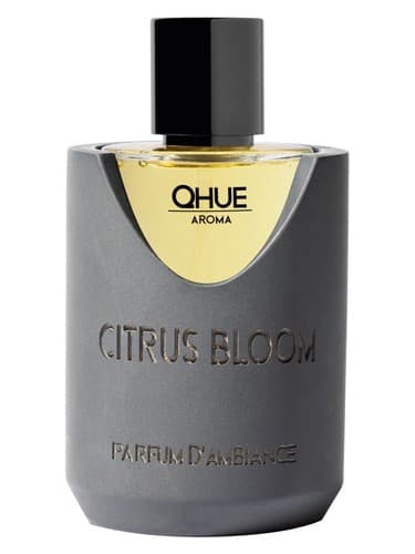Citrus Bloom - شکوفه مرکبات