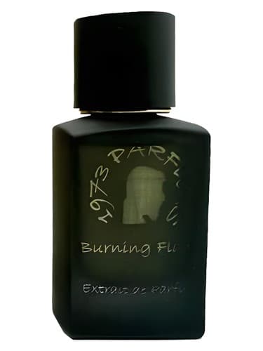 Burning Flame - شعله سوزان