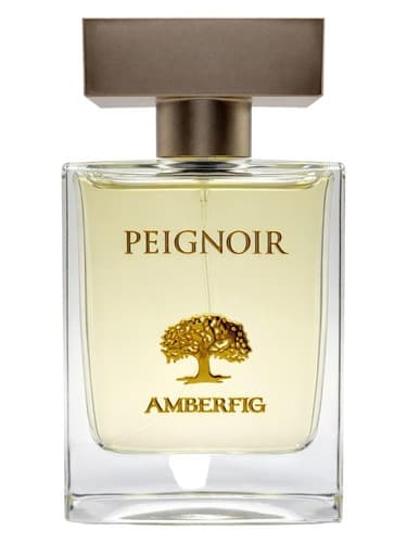 Peignoir