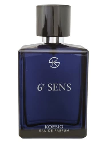 6E SENS 