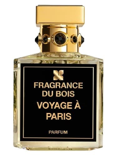 Voyage à Paris