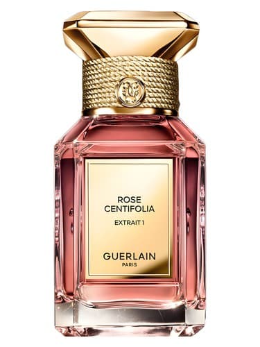 Rose Centifolia Extrait 1 