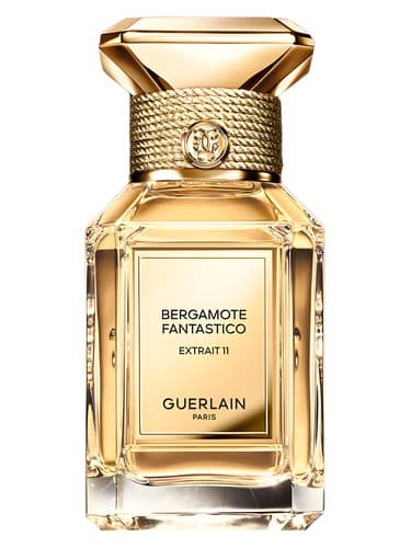 Bergamote Fantastico Extrait 11 - برگاموت Fantastico Extrait 11