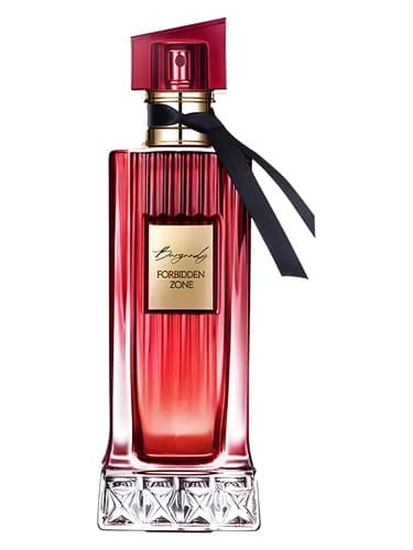 Burgundy Forbidden Zone 勃艮第禁区 - منطقه ممنوعه بورگوندی 勃艮第禁区