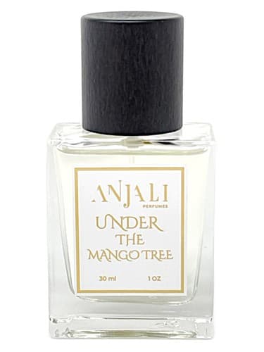 Under the Mango Tree - زیر درخت انبه