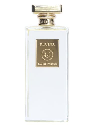 Regina - رجینا