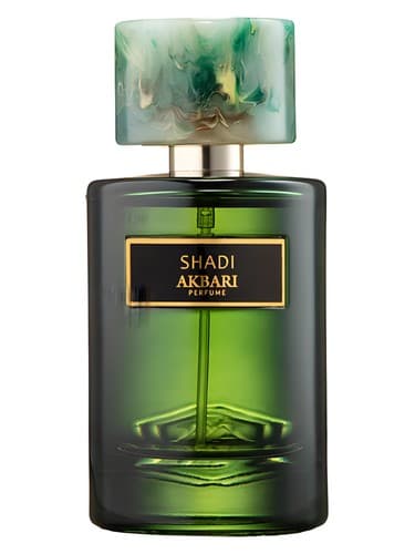 Shadi - شادی