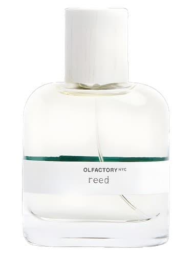 Reed - نی